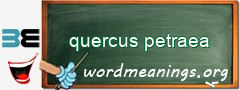 WordMeaning blackboard for quercus petraea
